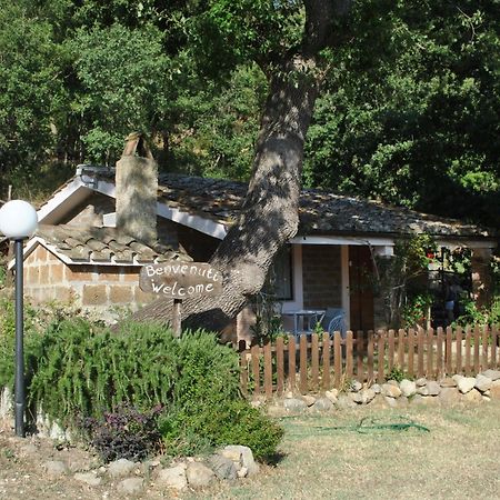 Azienda Agricola Biologica La Cardellina Tolfa Exterior photo