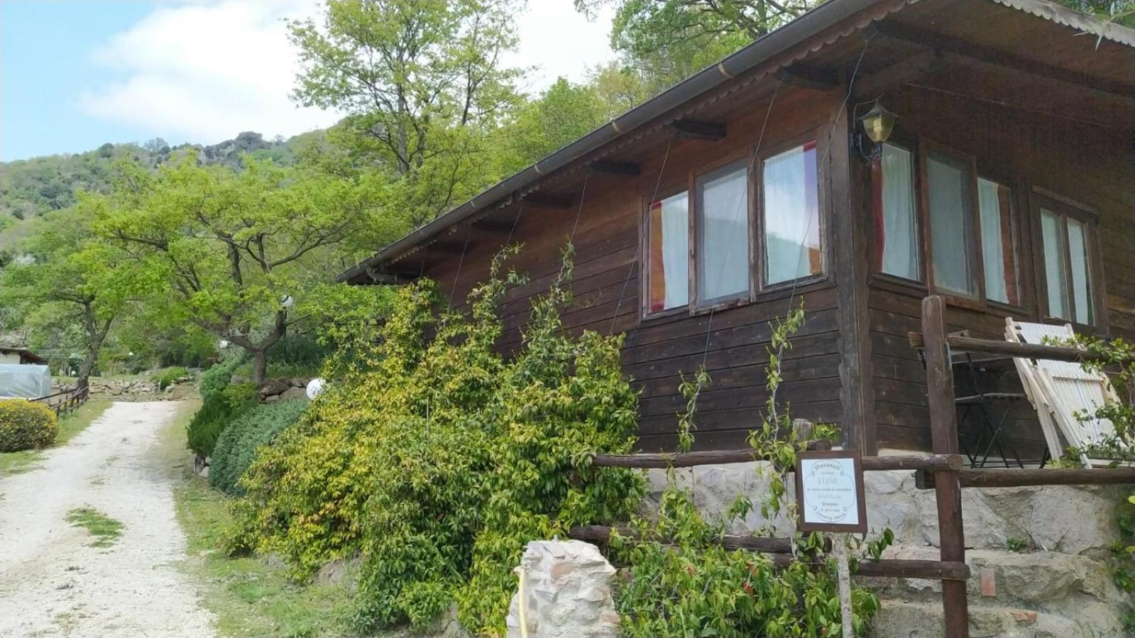 Azienda Agricola Biologica La Cardellina Tolfa Exterior photo