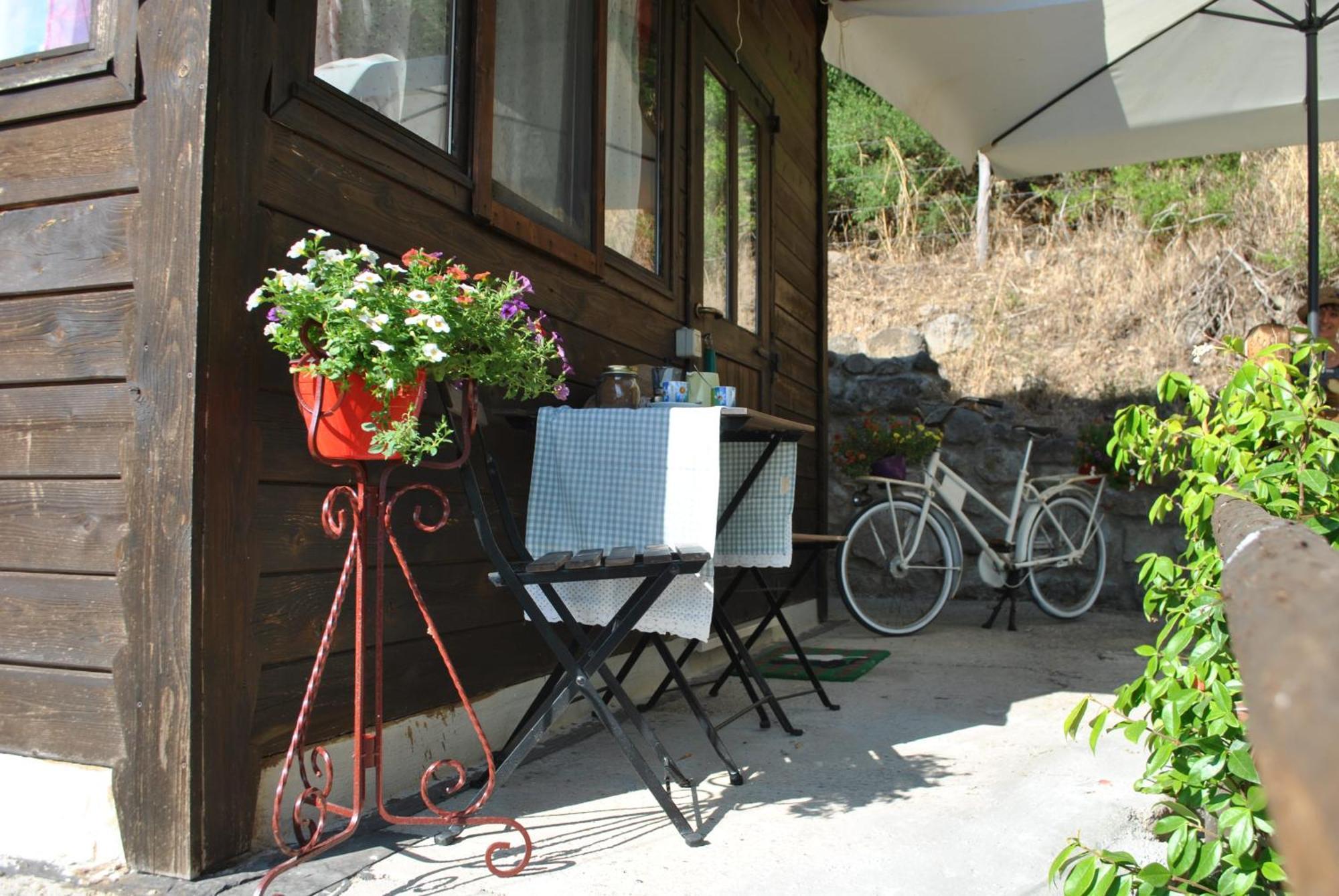 Azienda Agricola Biologica La Cardellina Tolfa Exterior photo