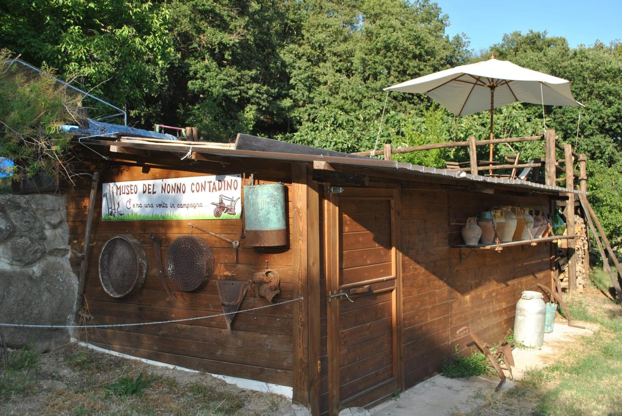 Azienda Agricola Biologica La Cardellina Tolfa Exterior photo